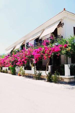 Hotel Angeliki1