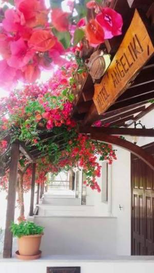 Hotel Angeliki12