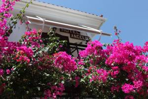 Hotel Angeliki16