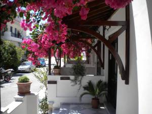 Hotel Angeliki17