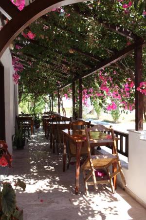 Hotel Angeliki19