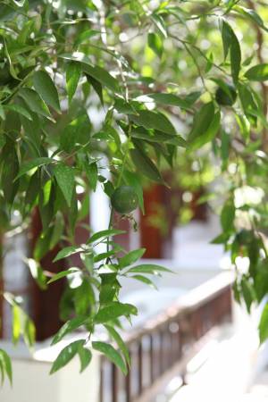 Hotel Angeliki22