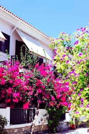 Hotel Angeliki33